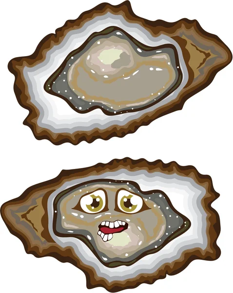Vector Oysters — Stock Vector