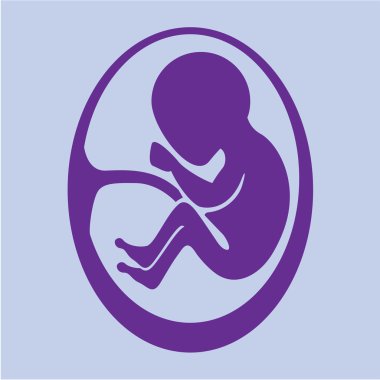 İnsan fetusu vektör