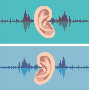 Soundwave through the human ear