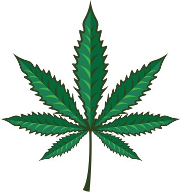 Kenevir kenevir vektör yaprak