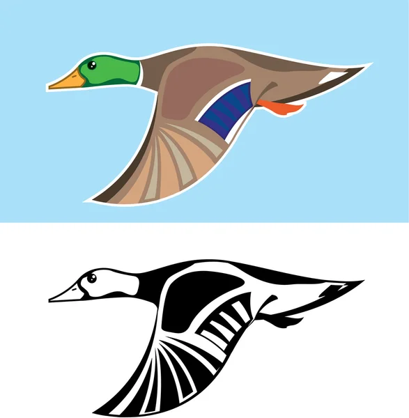 Vliegende Duck Vector Illustratie — Stockvector