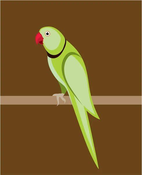 Zelený ringneck papoušek vektor — Stockový vektor