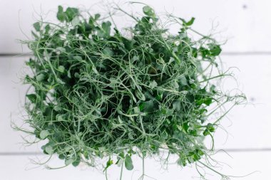 Tepsinin üstünde taze bezelye filizleri. Ev çiftliğinde mikroçim yetiştiriyorum. Mikro yeşiller sağlıklı beslenmede popüler bir eğilimdir. Vitamin bakımından zengin vejetaryen biyo-diyet süper gıdalar. kilo kaybı