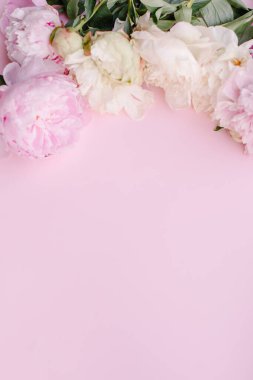 Beyaz arka planda güzel pembe şakayık çiçekleri. en üstteki görünüm.