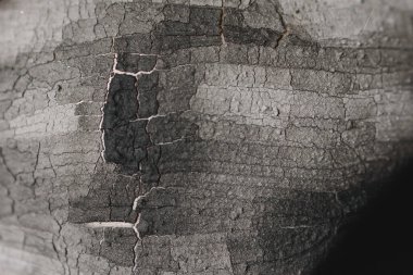 Çamur maskeli deri bir makro fotoğraf. Yüzündeki çamur maskesi kurumuş. Çatlak doku. Susuzluk ve kuraklık. Evde ya da kuaförde spa ameliyatı. Sivilceli cilt bakımı. kozmetoloji