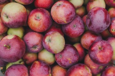 Güzel bir sonbahar manikürü. Sezon sonbaharı 2021. Yeşil çiviler. Tek renkli kaplama jel cilası. Ortam sıcak ve sıcak. Isınma sükuneti. Yukarıdan bak. Kuaförde el ve tırnak bakımı