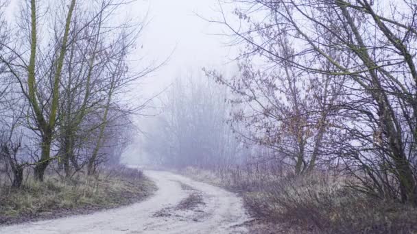 Estrada do campo com cenário de nevoeiro — Vídeo de Stock