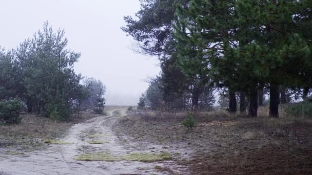 Деревенская дорога с туманными пейзажами — стоковое видео