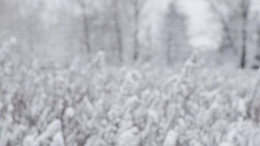 Kış bulutlu manzarası