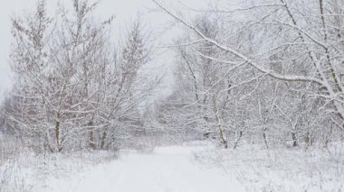 Kış bulutlu manzarası