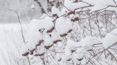 Kış bulutlu manzarası