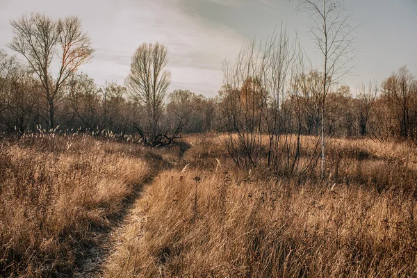 Novemberlandschaft — Stockfoto