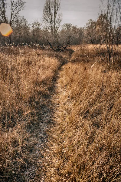 November landscape — Stock Photo, Image