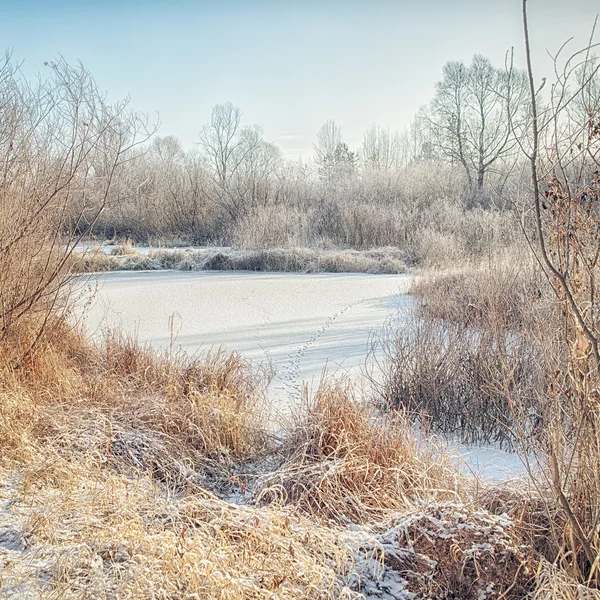 Paisaje invierno —  Fotos de Stock