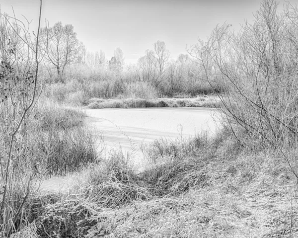 Paesaggio invernale — Foto Stock