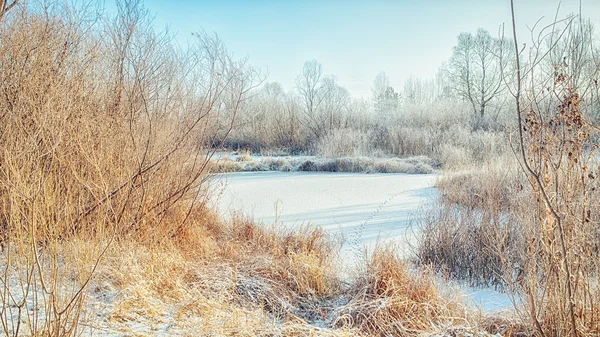 Winterlandschaft — Stockfoto