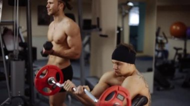Halter ve dumbbell ile pazı bukleler. Ağır çekim