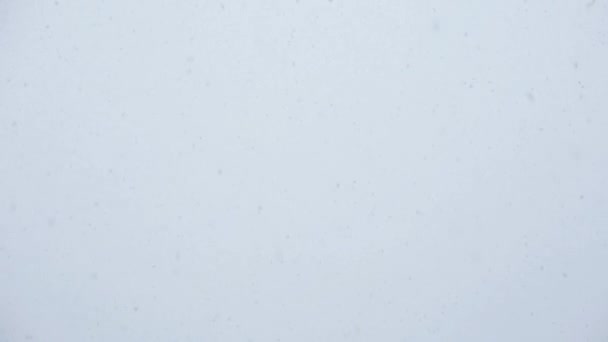 Snöflingor över tomt sky — Stockvideo