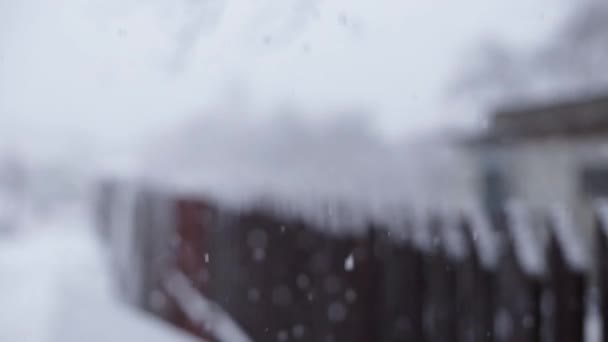 Copos de nieve sobre el paisaje — Vídeo de stock