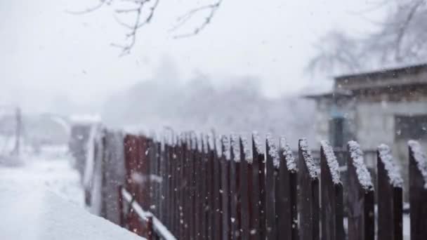 Snöflingor över landskapet — Stockvideo