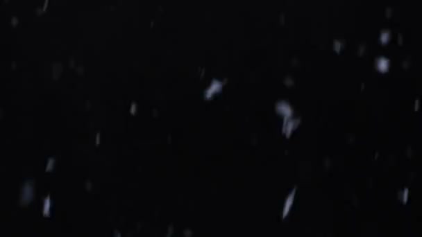 Νιφάδες χιονιού πάνω σε μαύρο — Αρχείο Βίντεο