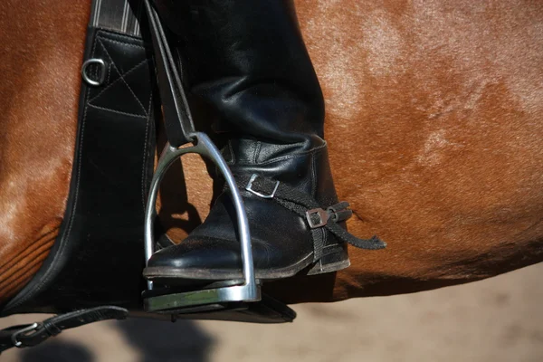 Fechar a perna do cavaleiro com esporão em estribo — Fotografia de Stock