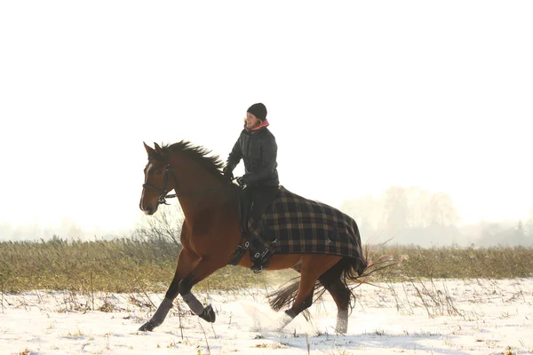 Adolescente menina montando cavalo baía no inverno — Fotografia de Stock