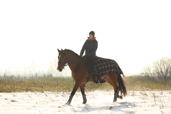 Adolescente menina montando cavalo baía no inverno — Fotografia de Stock