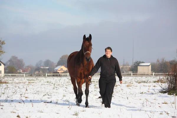 Teenager boy leading bay horse in winter — Stock Photo, Image