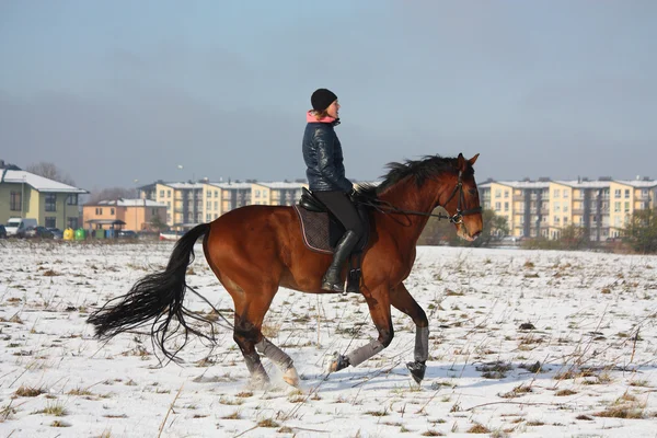 Teenager girl riding bay horse in winter — Stock Photo, Image