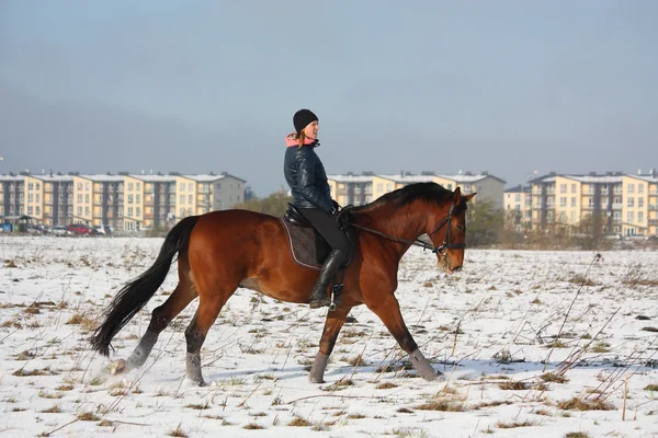 Adolescente menina montando cavalo baía no inverno — Fotografia de Stock