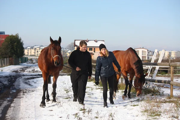 Два подростка и две лошади, идущие по снегу — стоковое фото