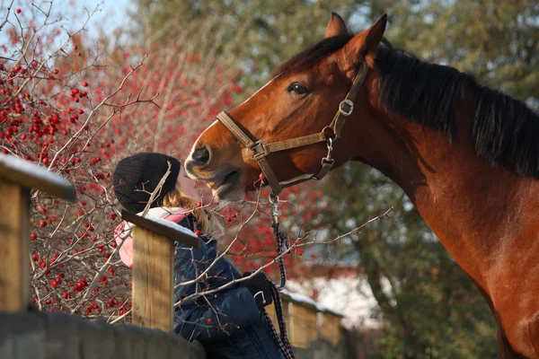 Tonåring flicka och bay horse kramar varandra — Stockfoto