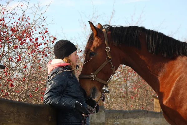 Ragazza adolescente e cavallo baia che si abbracciano — Foto Stock