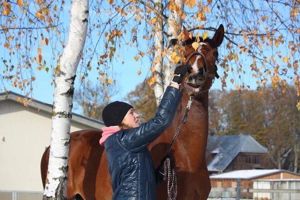 Vacker tonåring flicka och bay häst porträtt i höst — Stockfoto