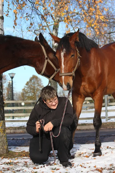 Teenager boy and two brown horses — Stock Photo, Image