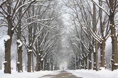 Sokakta park kışın