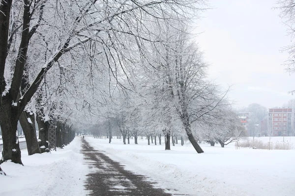 Terep park télen — Stock Fotó