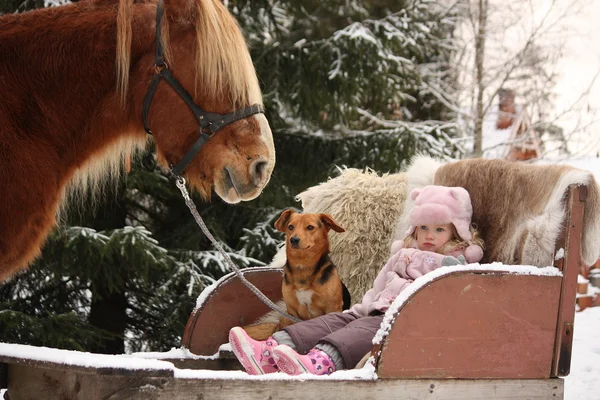 Linda niña sentada en los trineos con cachorro y paloma grande — Foto de Stock