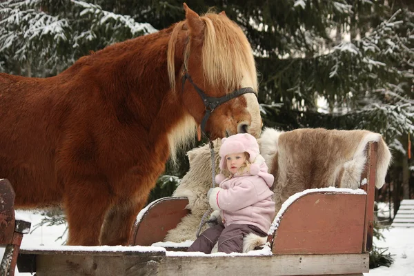 Cute little girl sitting in the sledges and big palomino draught — Stock Photo, Image
