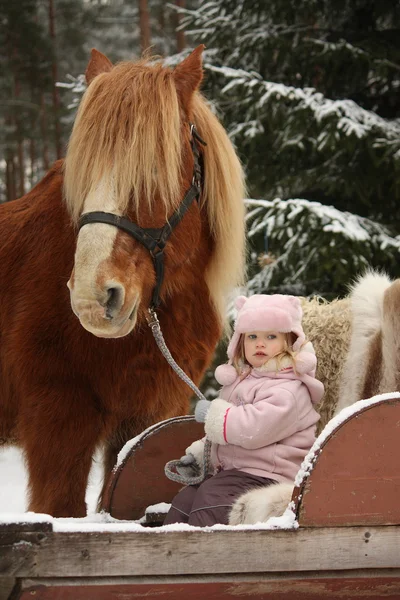 Cute little girl sitting in the sledges and big palomino draught — Stock Photo, Image