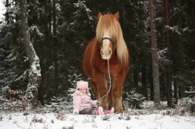 Kar ve büyük palomino at ayakta n oturan küçük kız