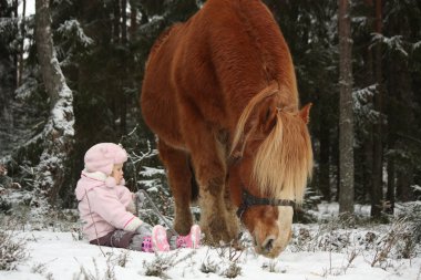 Kar ve büyük palomino at ayakta n oturan küçük kız