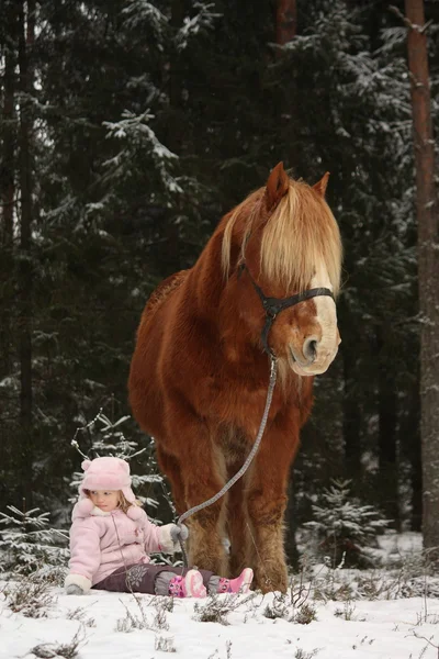 Niña sentada en la nieve y gran caballo palomino de pie n — Foto de Stock