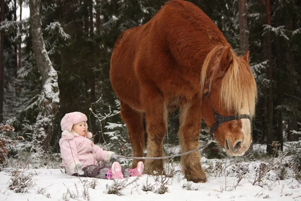 Niña sentada en la nieve y gran caballo palomino de pie n — Foto de Stock