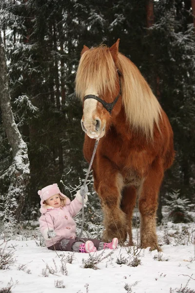 Menina pequena sentada na neve e grande cavalo palomino de pé n — Fotografia de Stock