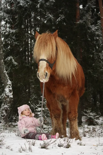 Kleines Mädchen im Schnee sitzend und großes Palomino-Pferd stehend n — Stockfoto