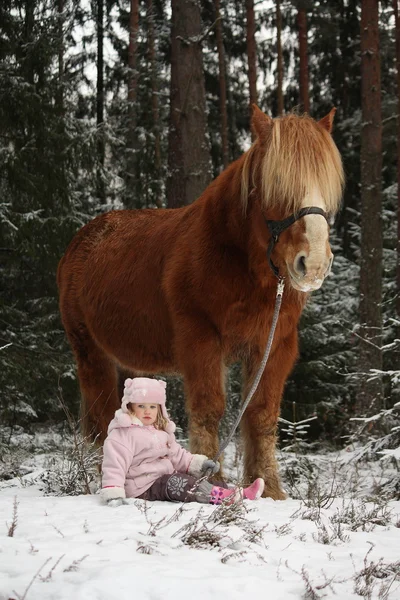 Kis lány ül a hó és a nagy palomino ló állandó n — Stock Fotó