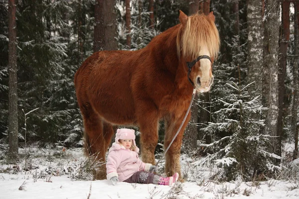 Menina pequena sentada na neve e grande cavalo palomino de pé n — Fotografia de Stock