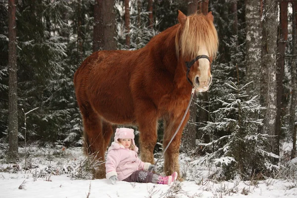 Piccola ragazza seduta nella neve e grande cavallo palomino in piedi n — Foto Stock